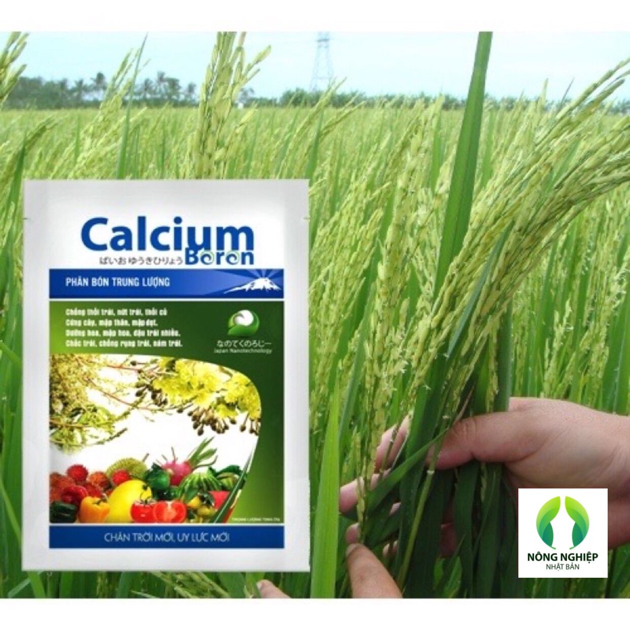 Phân bón trung lượng CALCIUM BORON ( Canxi Bo ) 25gr