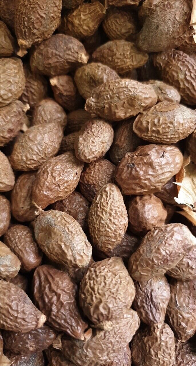 Hạt Đười ươi sẻ 500gr