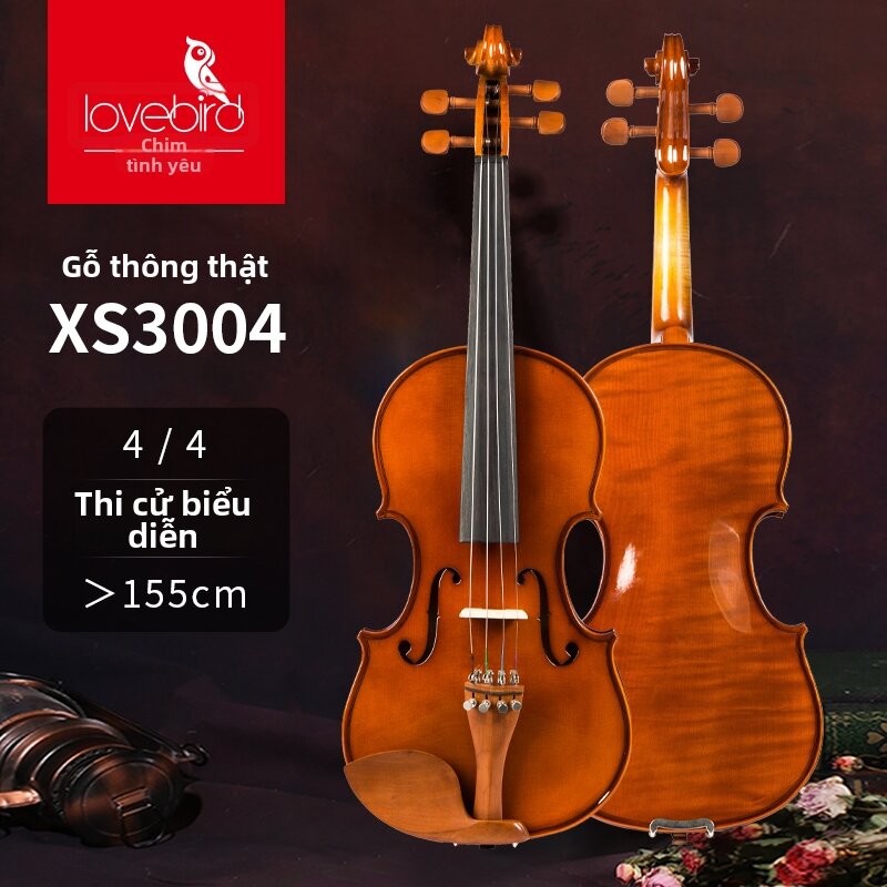 Violon Dành Cho Người Mới Bắt Đầu và Chuyên Nghiệp