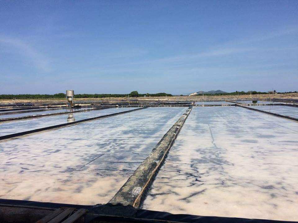 Combo 2hũ MUỐI ỚT TÔM ĐỀ GI BÌNH ĐỊNH 35K