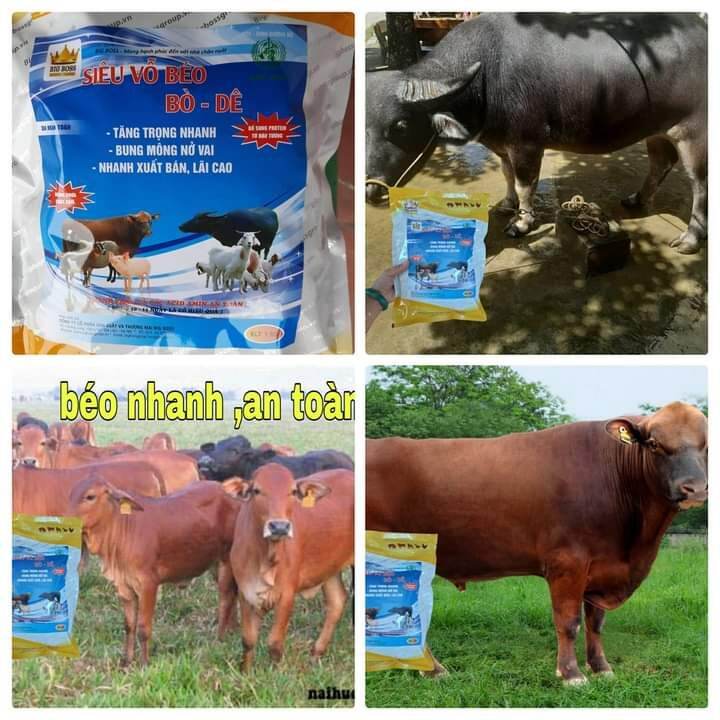 SIÊU VỖ BÉO BÒ DÊ [COMBO 3KG ] DÊ BÒ HEO NGỰA