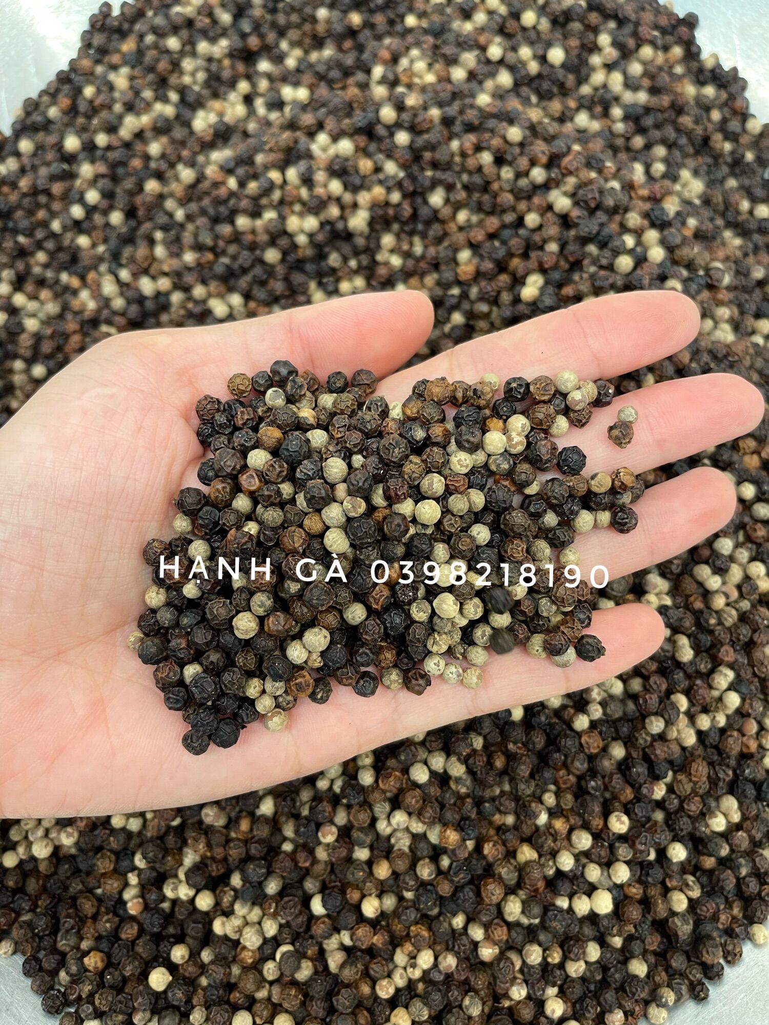 Muối Tiêu phú quốc đặc biệt 200gr