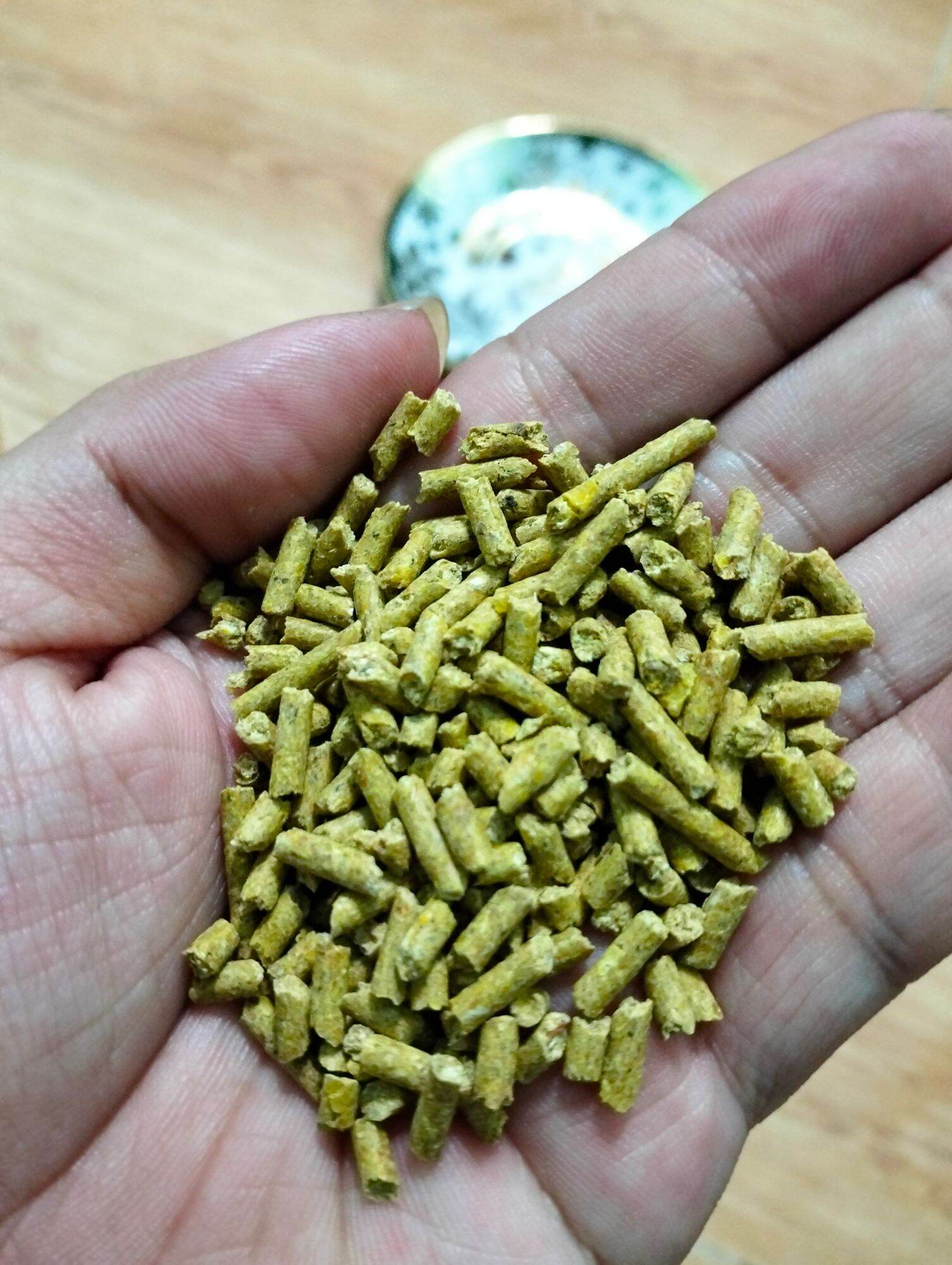 Cám gà 1kg dành cho isopod, gián, dế, sâu, gà ... - hoài nam pet