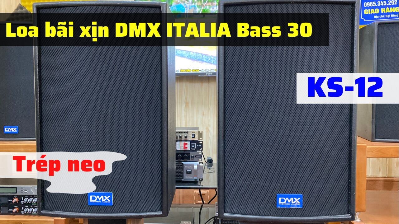 Loa bãi xịn DMX KS12 Bass 30 Thương hiệu ITALIA trép từ neo 1 cặp thumbnail