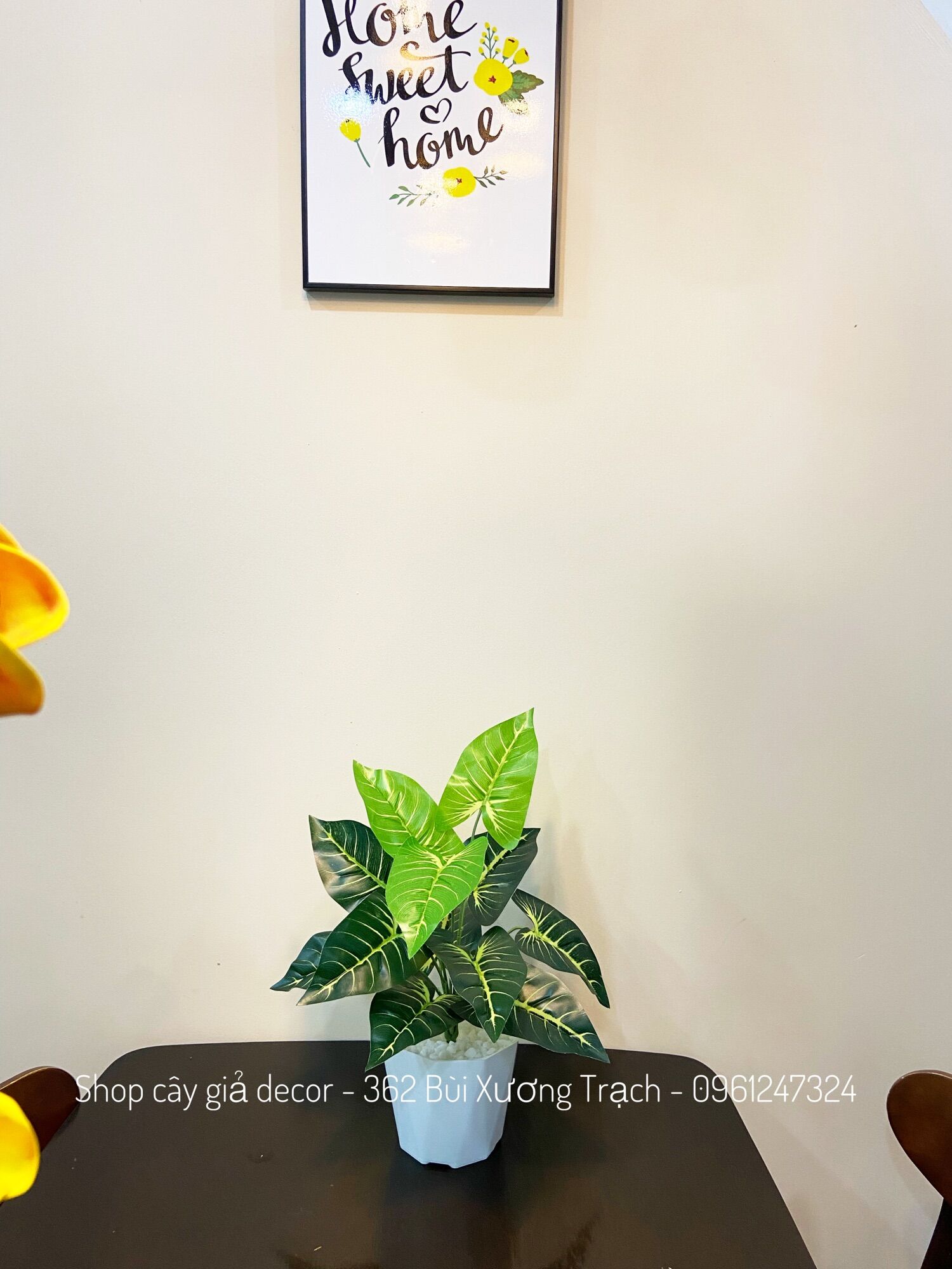 Cây giả - trầu bà sọc 40cm
