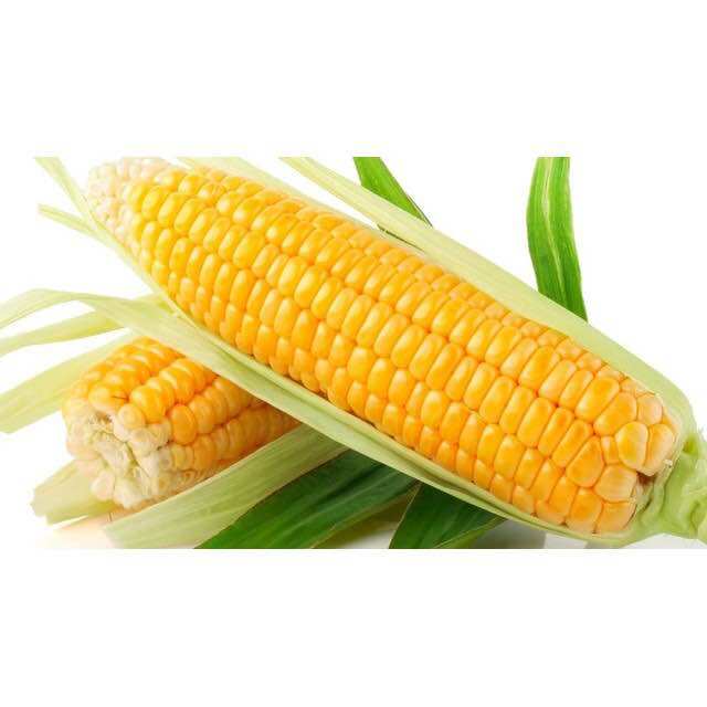 Hạt giống ngô ngọt gói 500gr