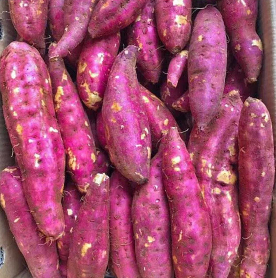 1kg khoai lang nhật loại 1