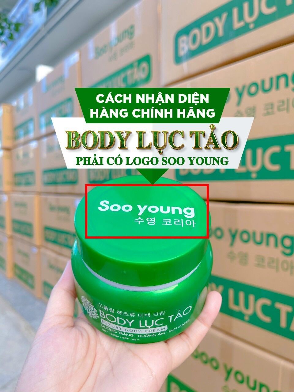 KEM BODY LỤC TẢO ( Sản phẩm chính hãng SOOYOUNG )