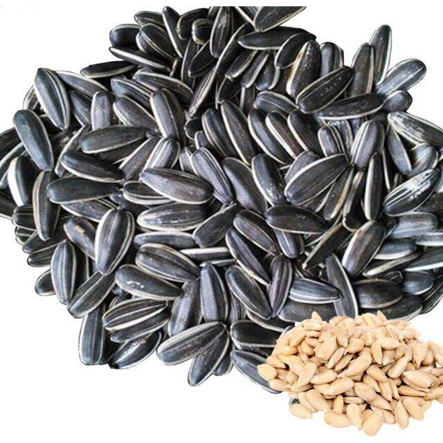 1KG HẠT HƯỚNG DƯƠNG SẠCH XUẤT KHẨU HẠT TO THƠM NGON
