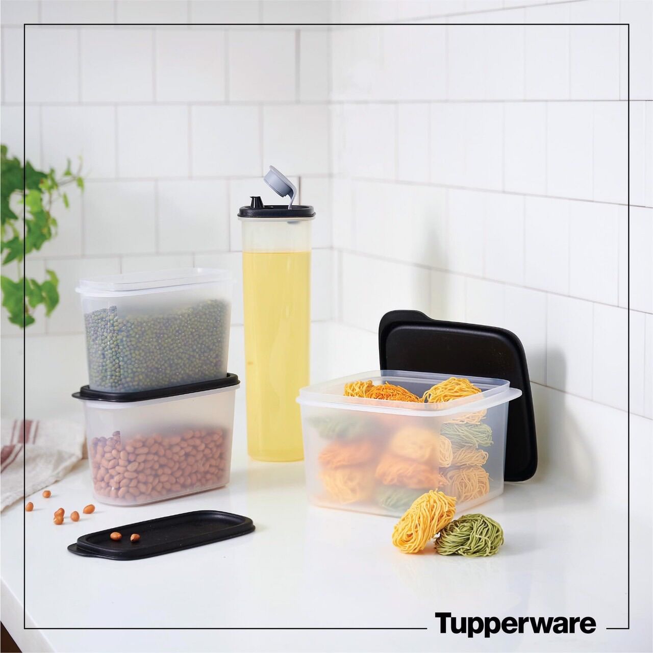 Bộ hộp kệ bếp Urban Kitchen Tupperware