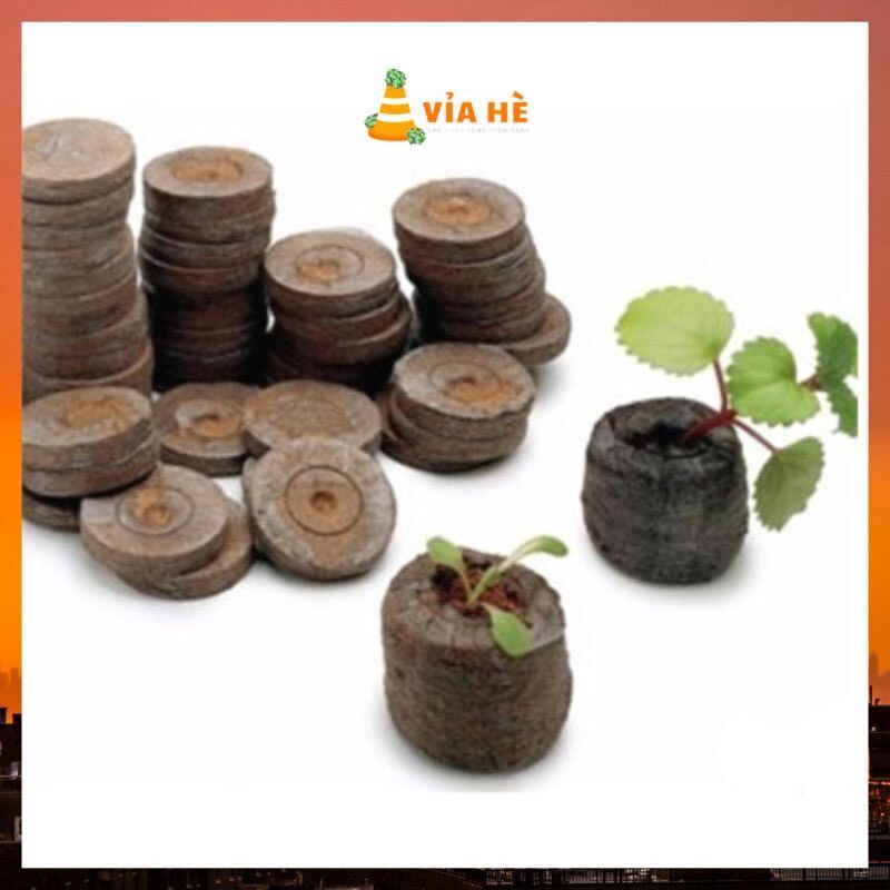 Viên nén ươm hạt túi 10 viên xơ dừa kích nảy mầm