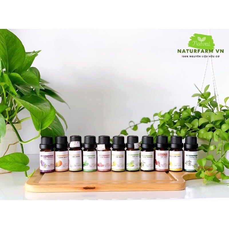 Tinh dầu hoa nhài ( Lài ) nguyên chất 10ML