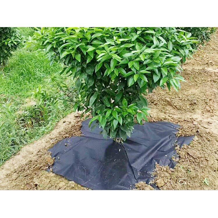 5 tấm bạt phủ đất ngăn ngừa cỏ 1m X1m