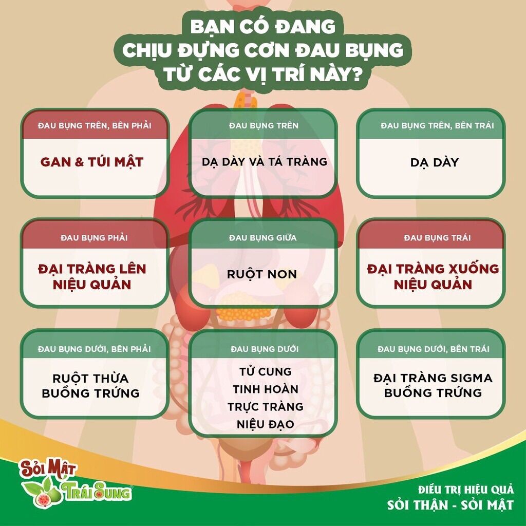 Sỏi mật sỏi thận trái sung