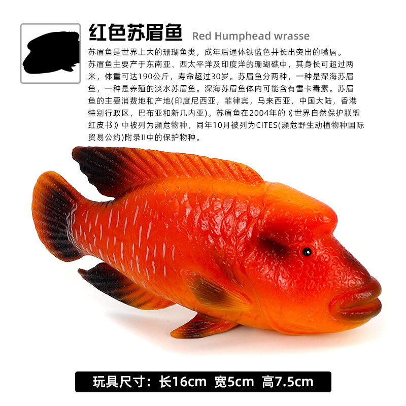 Mô hình cá nheo động vật biển mô phỏng cá diếc cá mập cá diếc đồ chơi cá hồi cá chép cá heo sông quà tặng nhận thức cho trẻ em