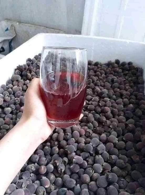 Quả sim tươi đã ủ đường 1kg