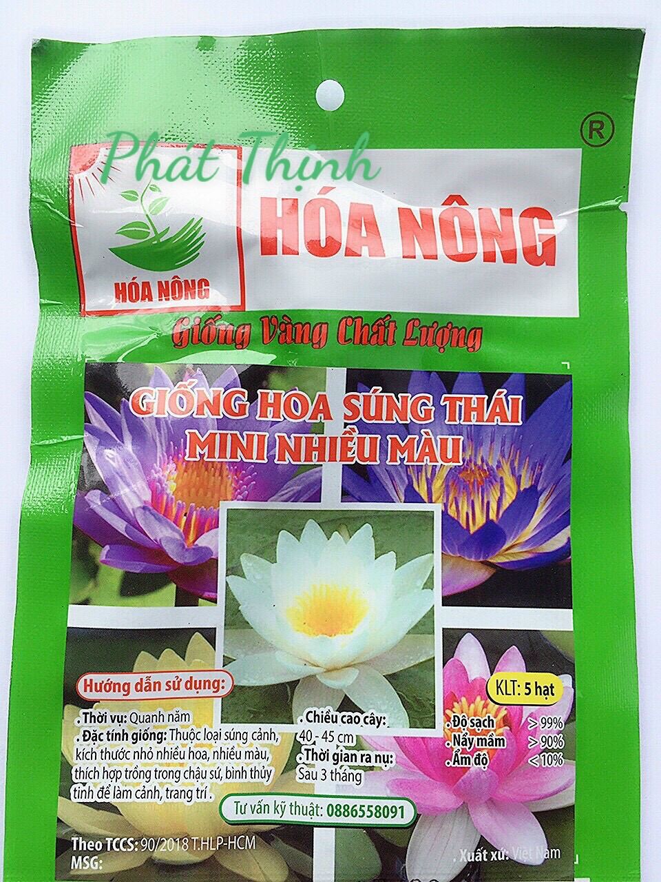5 Hạt giống hoa SÚNG Thái mini nhiều màu