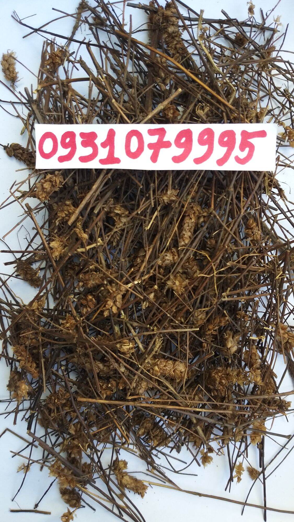 cây nhan trần nam phơi khô 1kg