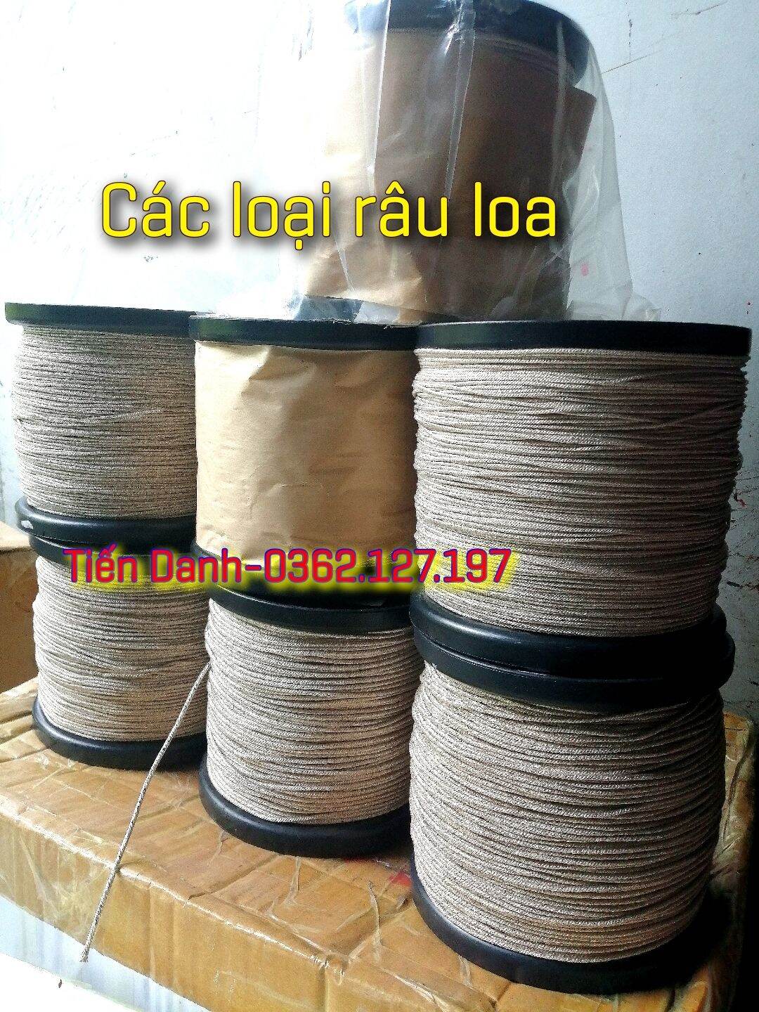 [HCM]Râu loa