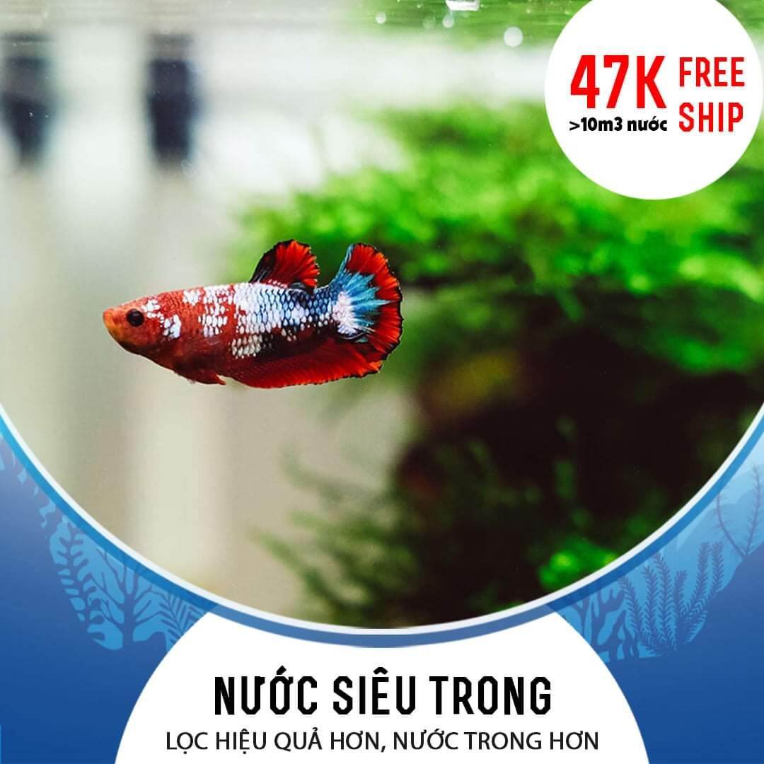 REVIVAL  xử lý nước hồ cá