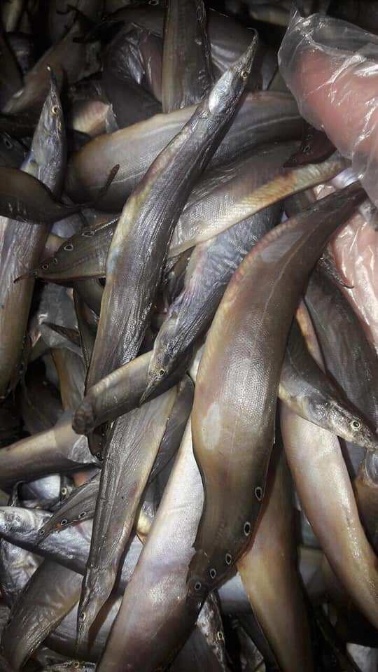 khô cá chạch đồng túi hút chân không 500g
