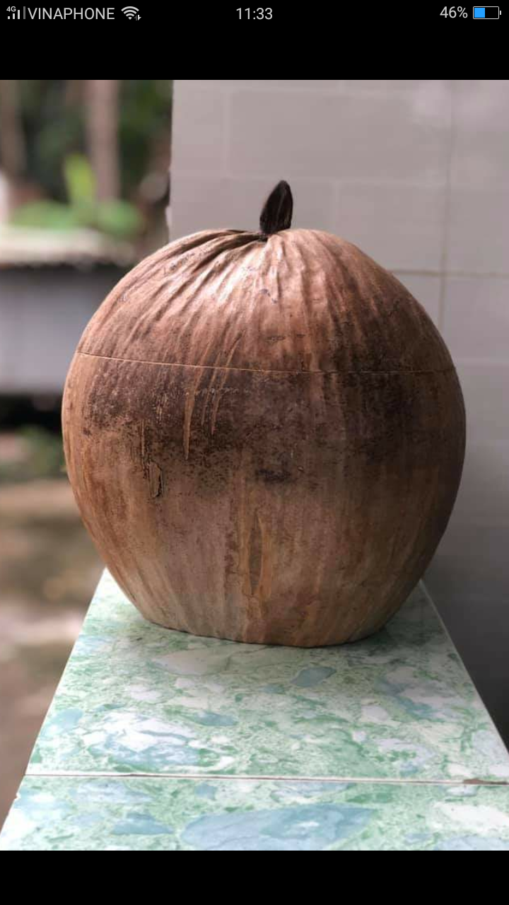Bình ủ giữ ấm bình trà làm từ trái dừa theo kiểu xưa