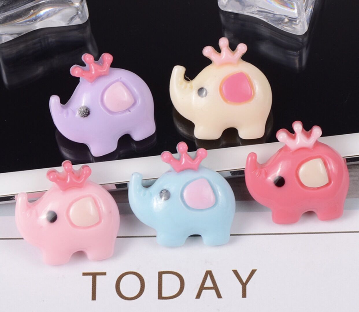 Charm voi ngộ nghĩnh