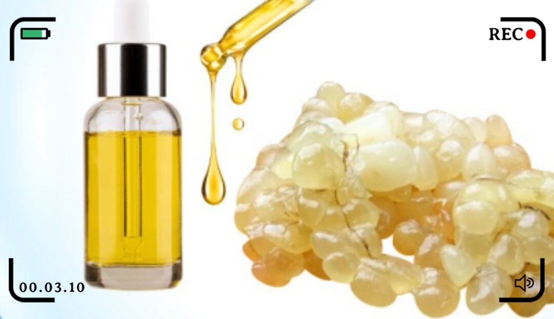 MỠ TRĂN CHIẾT 10ML