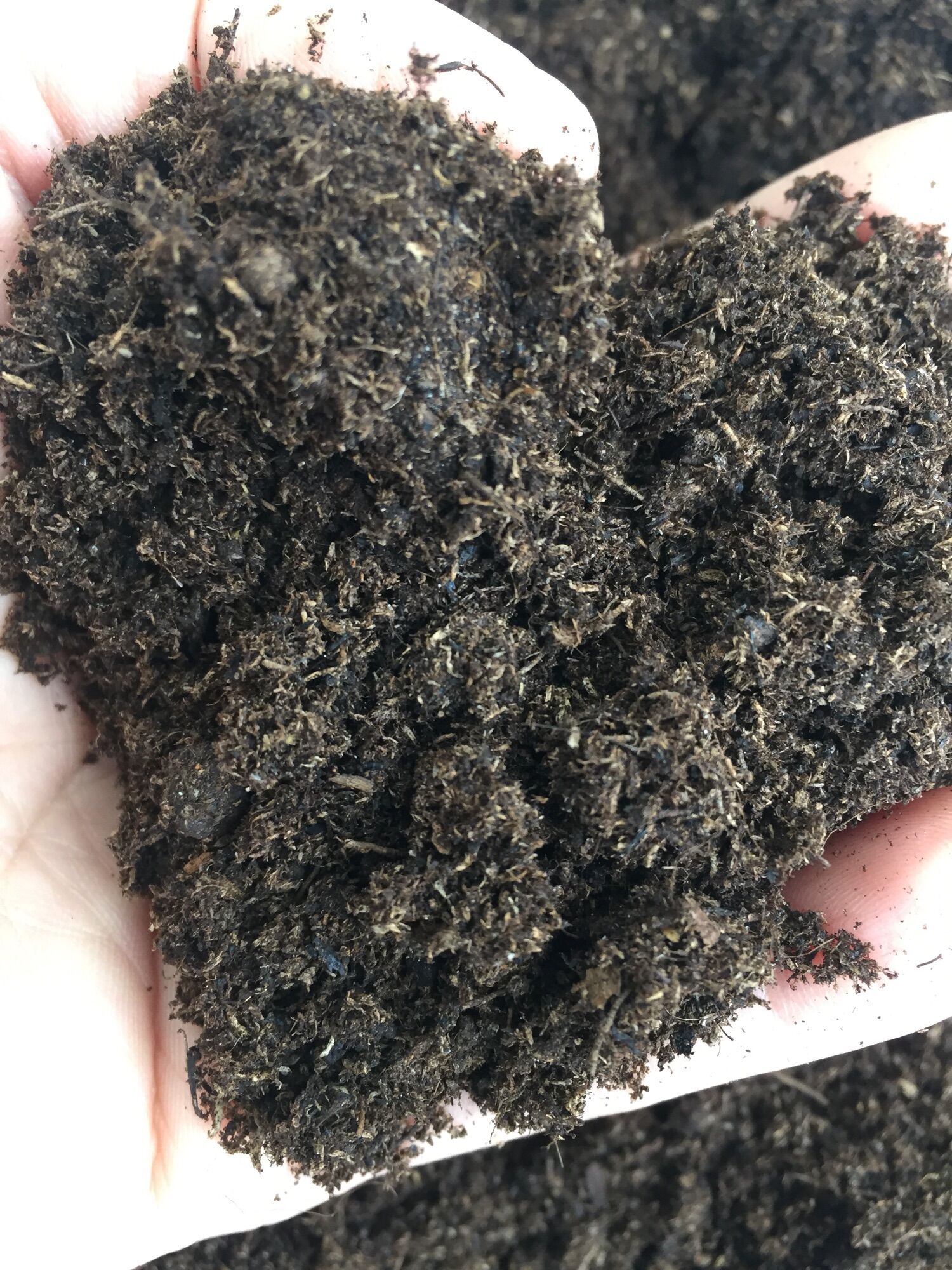 Rêu mục peamost đất trồng cây gói 500g
