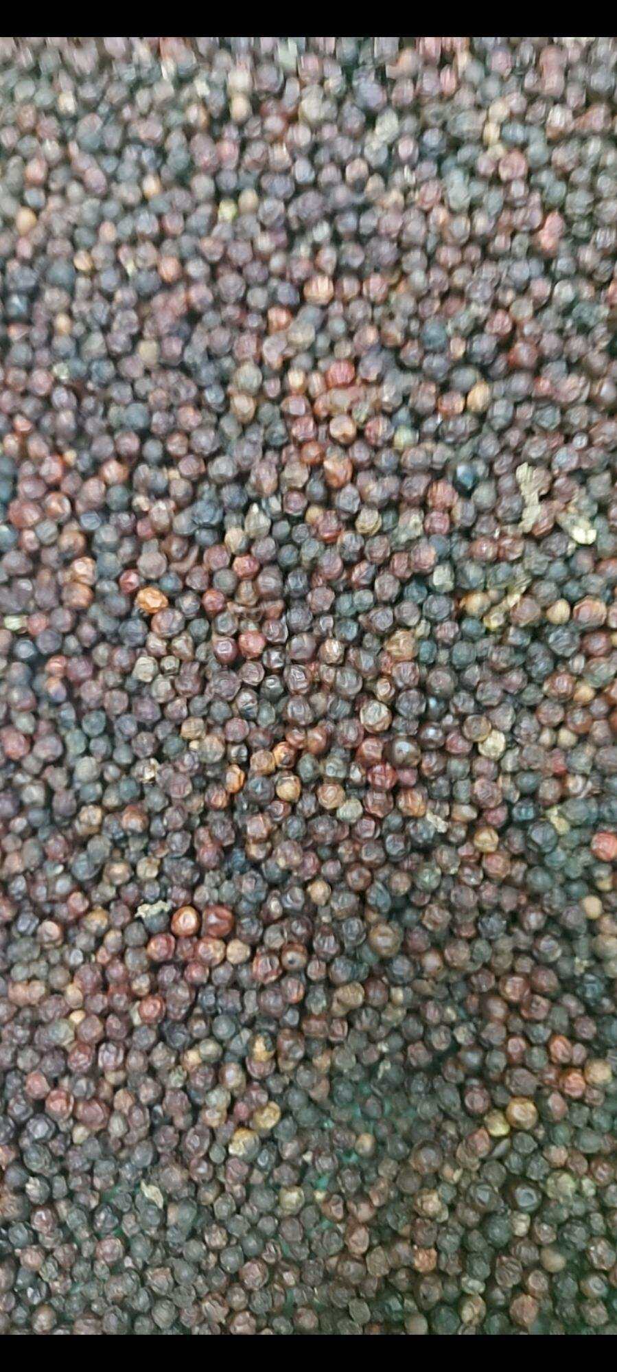 500g hạt tiêu đen loại đặc biệt