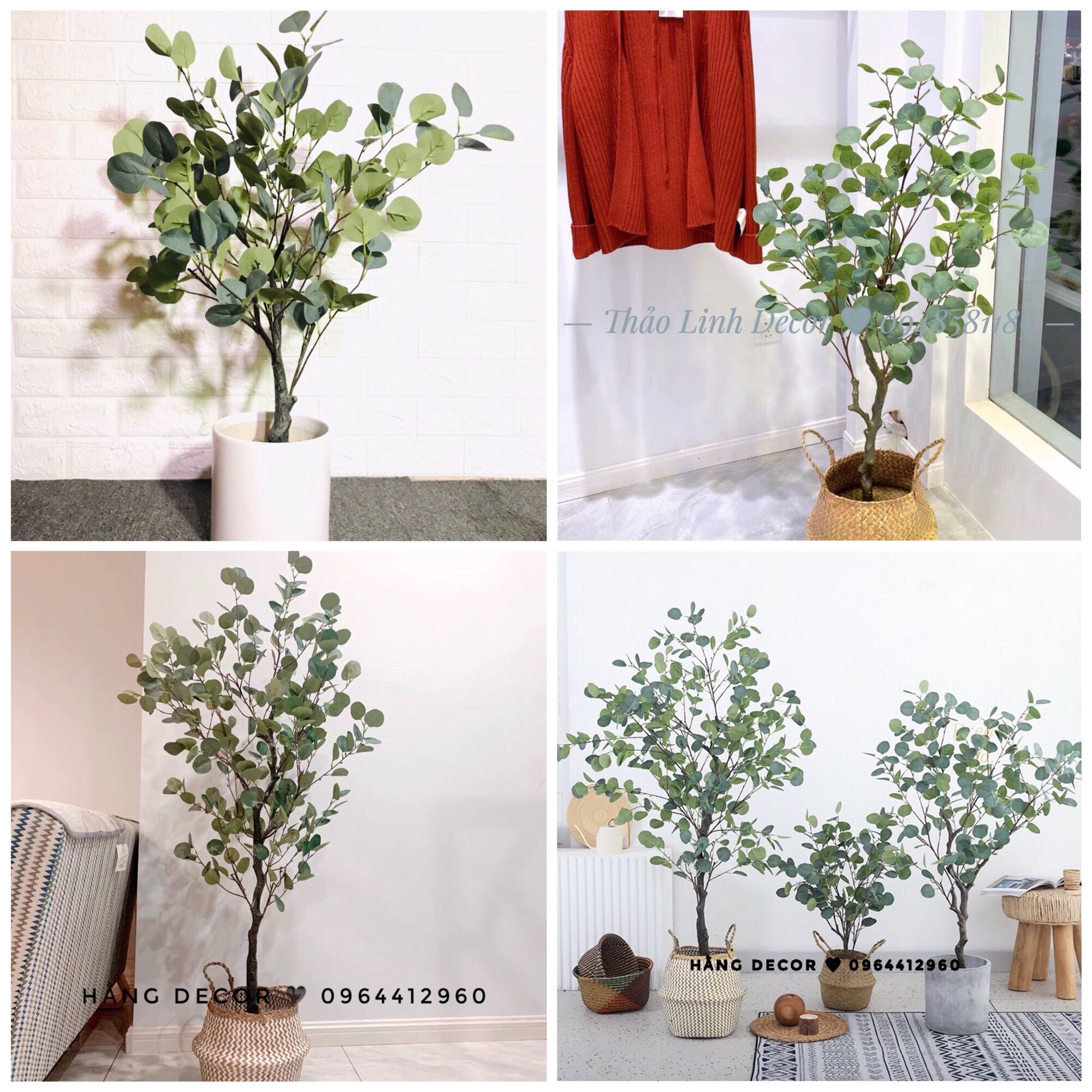Cây giả cây bạch đàn trang trí 130cm hằng decor