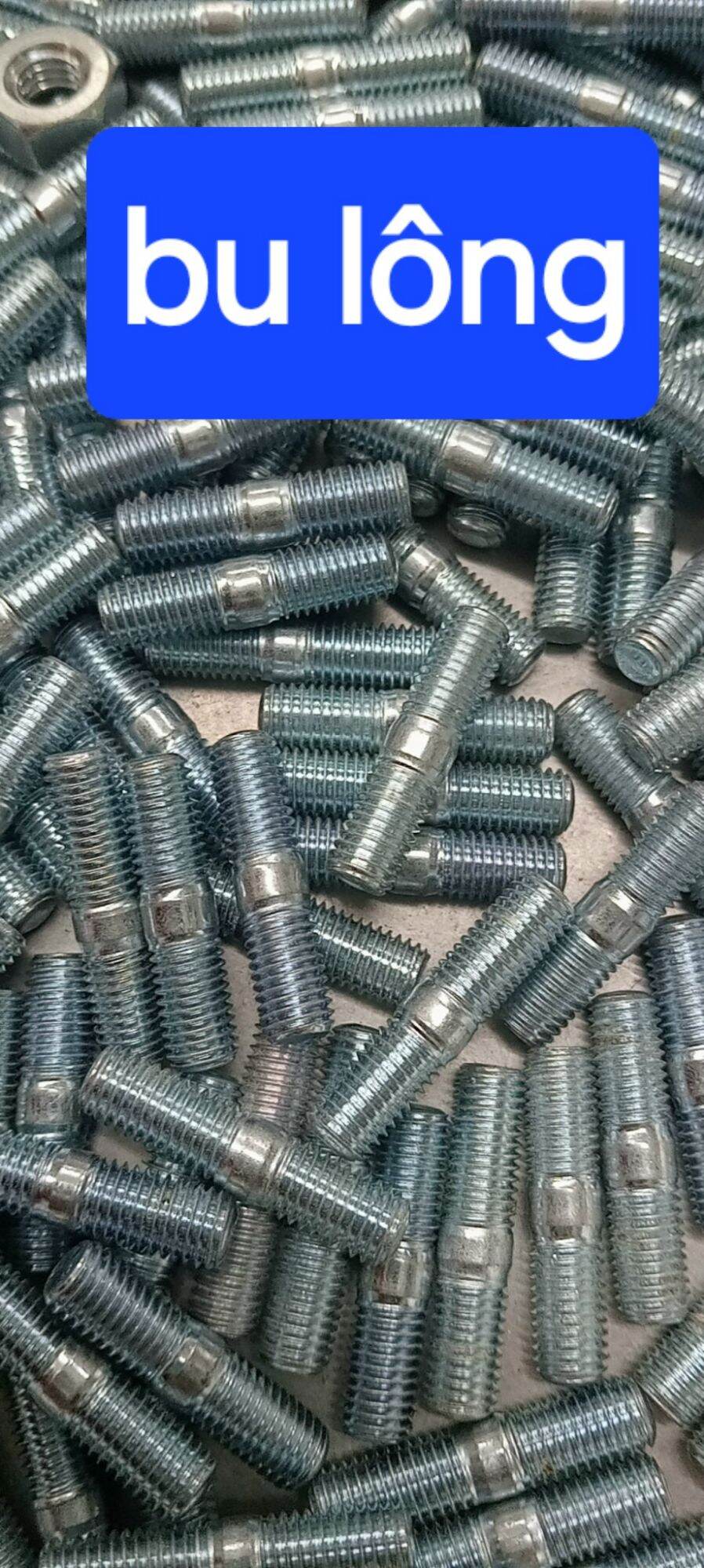 ốc pô 6 ly (loại xịn) (10 con)