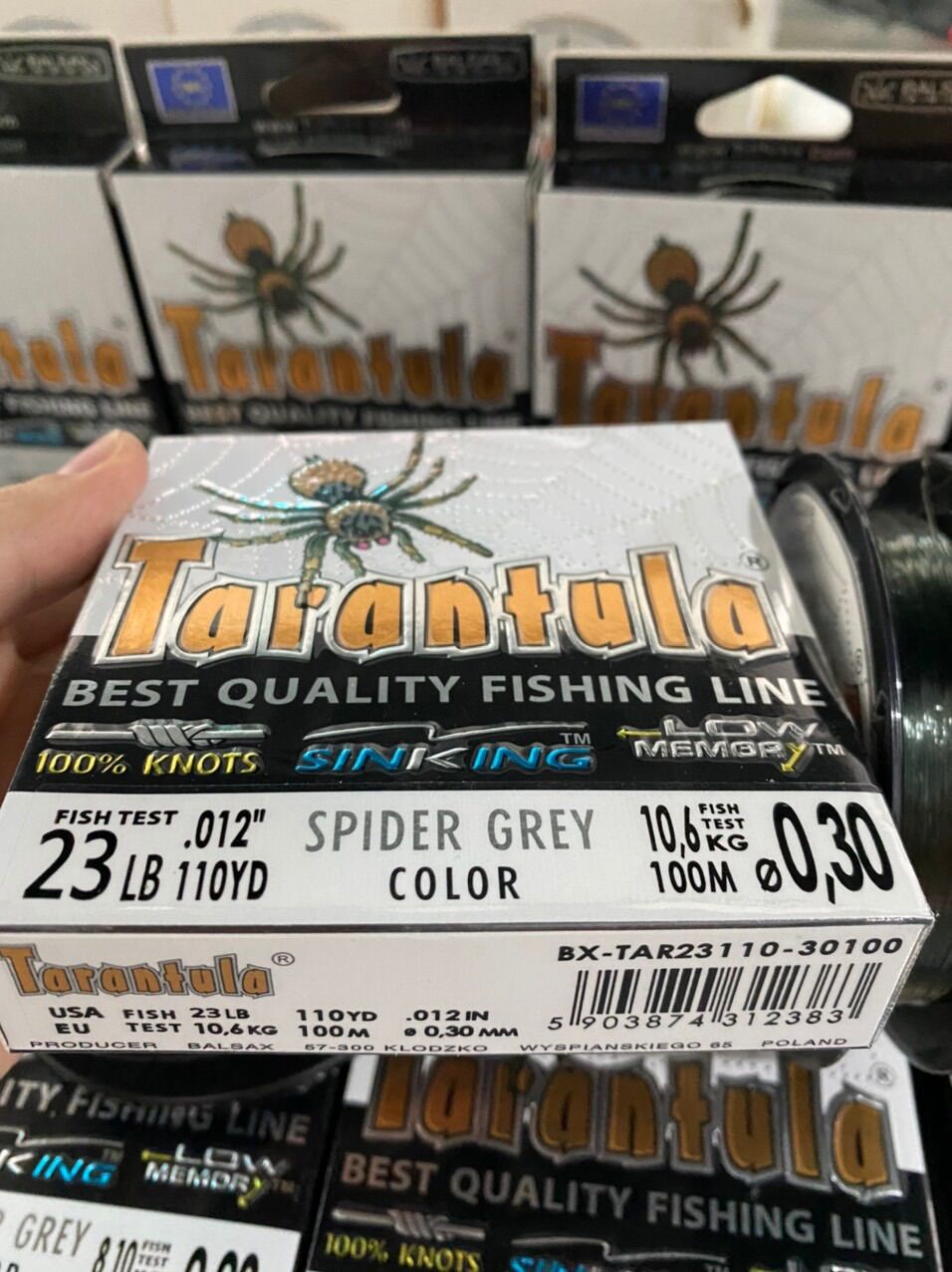 CƯỚC CÂU CÁ TARANTULA 100m – NHỆN