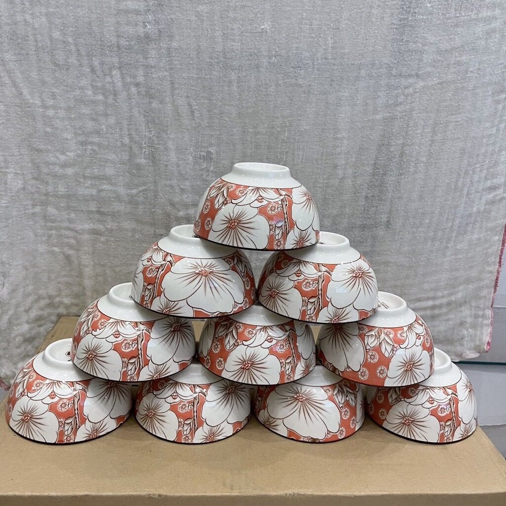 Bộ 10chén bát sứ ăn cơm 4d cao cấp phong cách hàn quốc