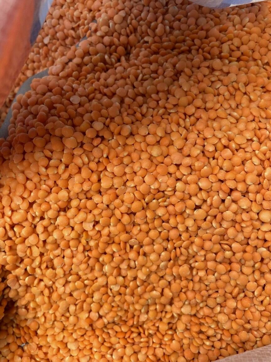 Đậu lăng đỏ 1kg xuất xứ canada - 1kg red lentils