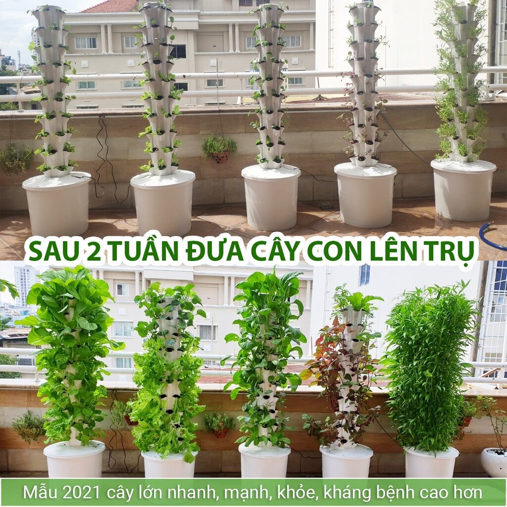 Bộ Thủy canh Trụ đứng
