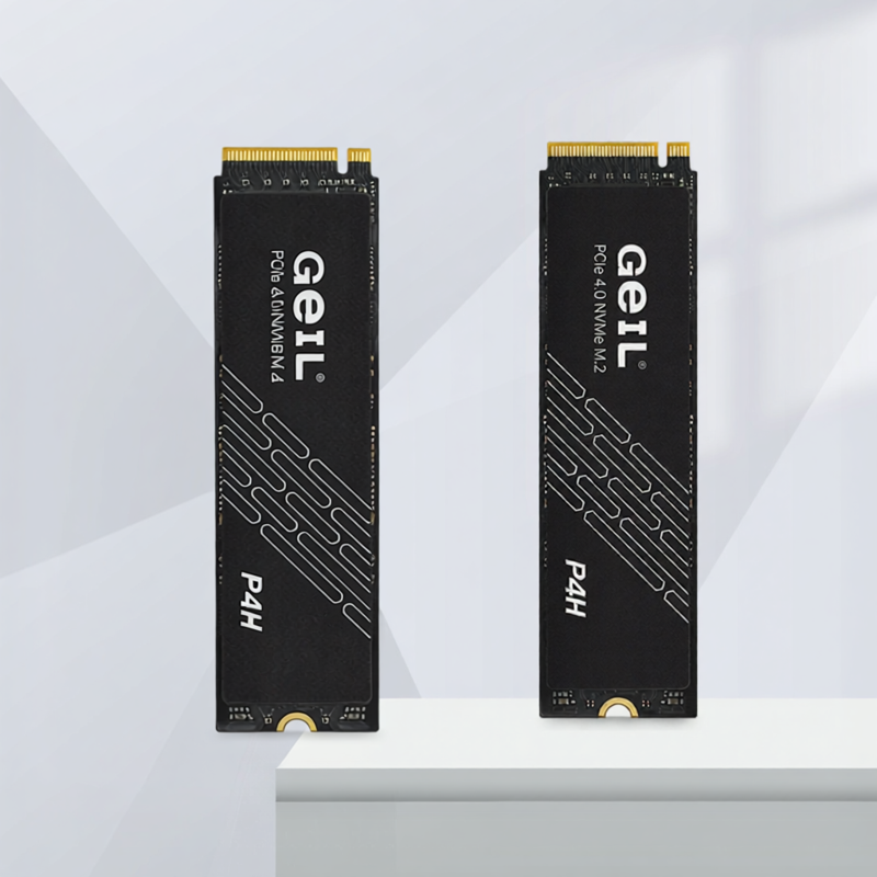 Geil | Laptop & Desktop Suitable M.2 Large Capacity Video Storage SSD 4TB Giá 15,111,000 Đồng*Miễn phí vận chuyển