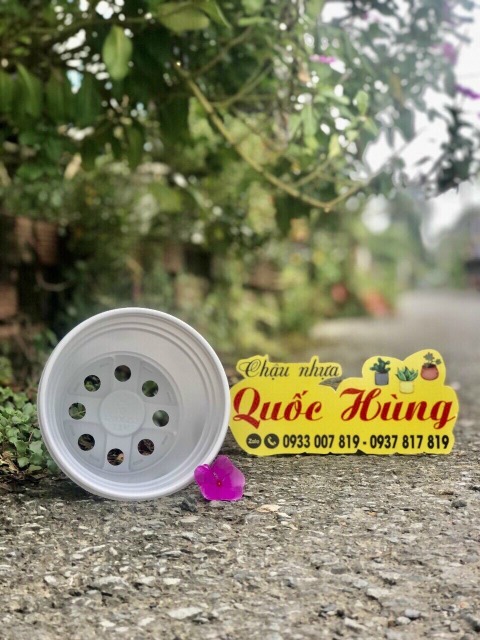 Combo 10 chậu nhựa trồng sen đá T12