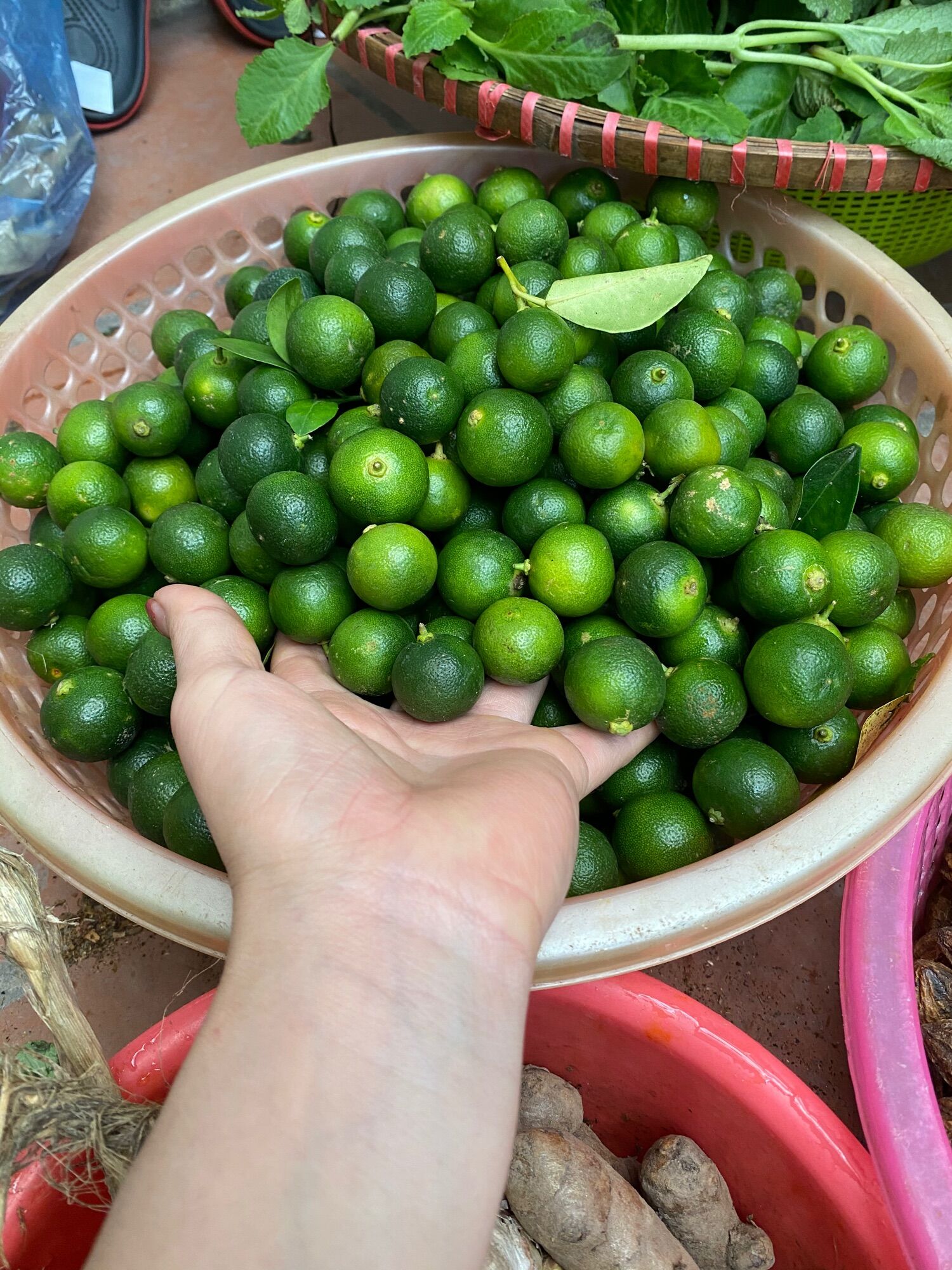 Siro Ho Húng chanh