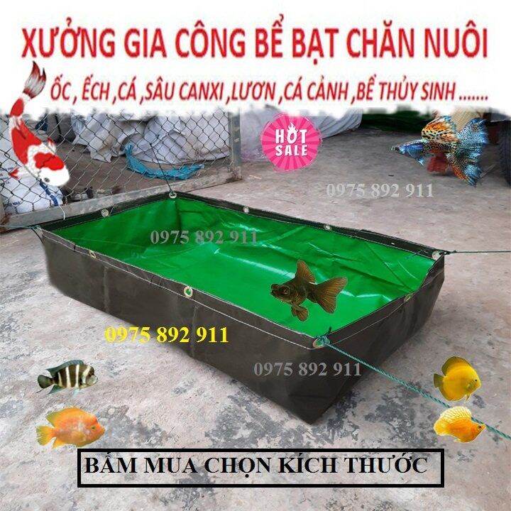 Hồ , bể bạt ươm cá cảnh , cá chọi , cá koi giống