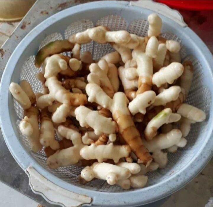 Củ Nghệ trắng 1kg