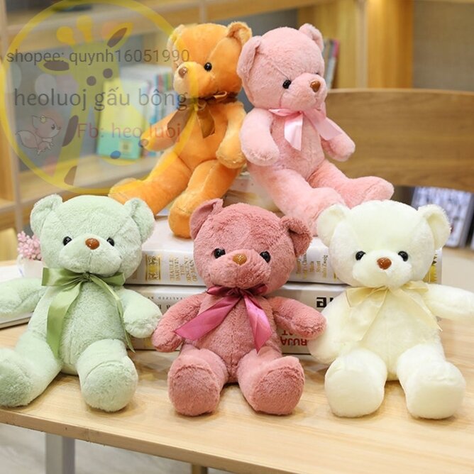 ❌gấu bông 30cm teddy tím