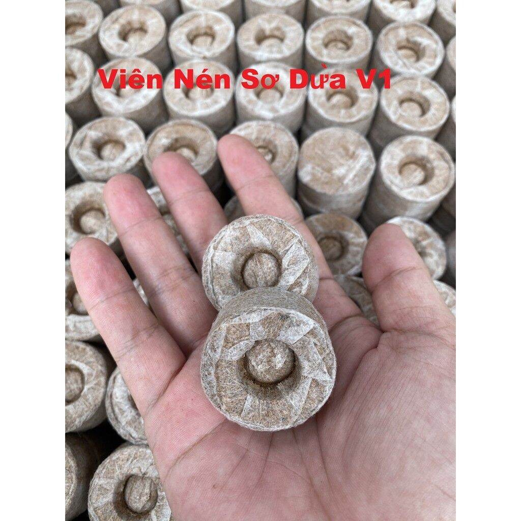 200 Viên Nén xơ dừa ươm cây ươm hạt v1 loại cao cấp