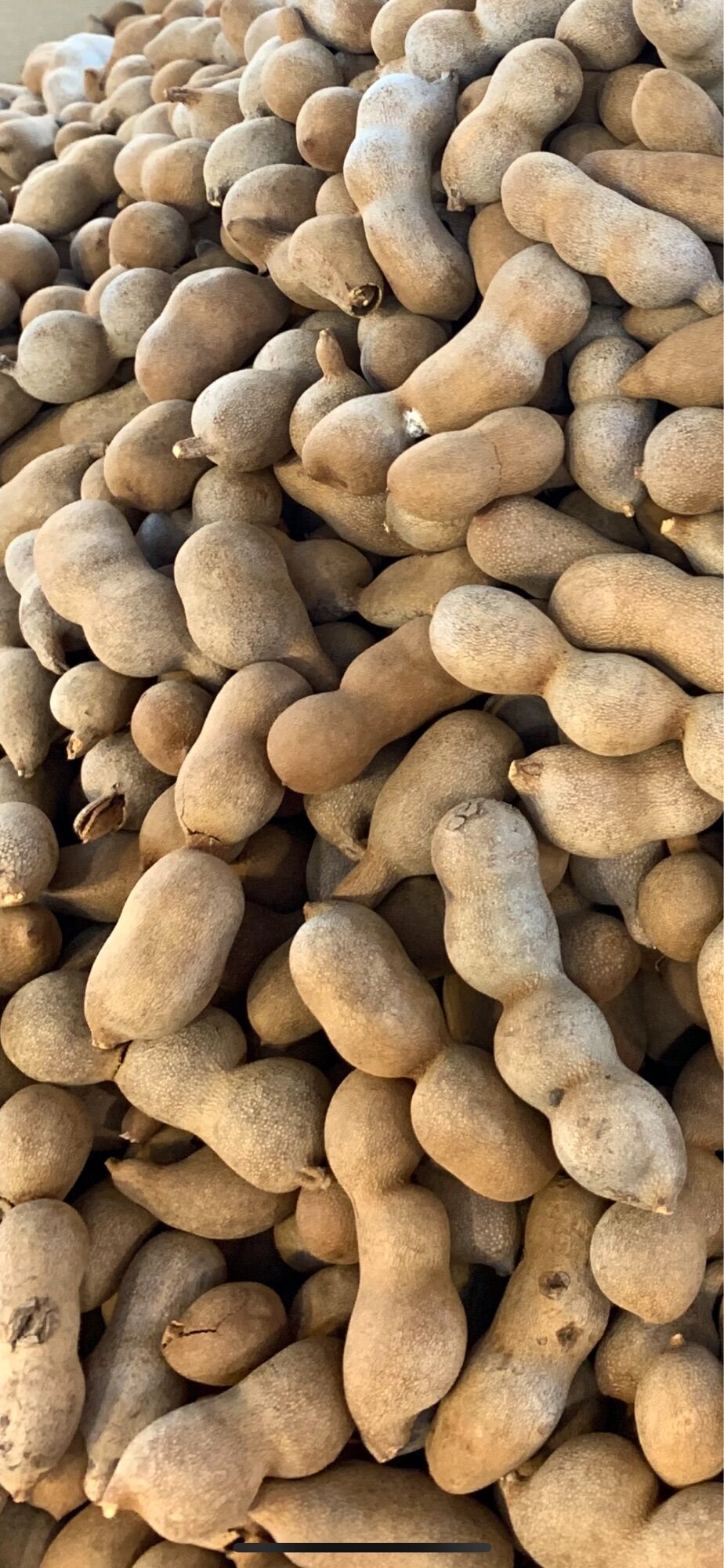 1kg Me Thái Thái Ngọt ( Trái Như Hình )