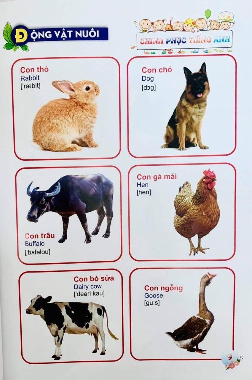 SÁCH - Bé chinh phục tiếng anh