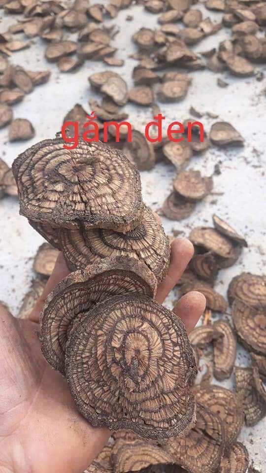 1 kg Cây Gắm Đen khô