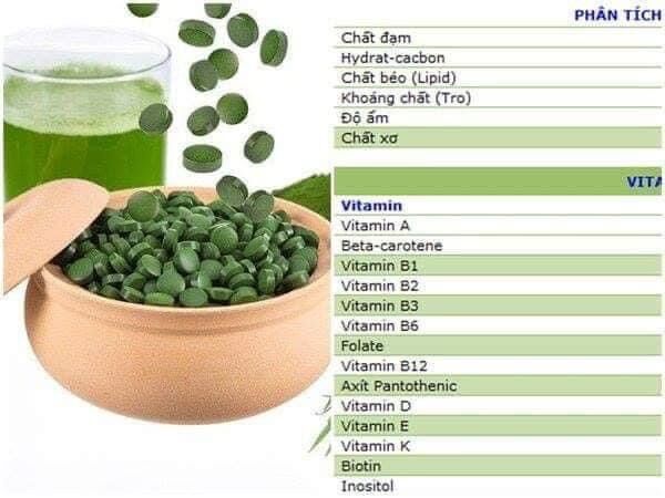 Túi tảo xoắn spirulina nhật
