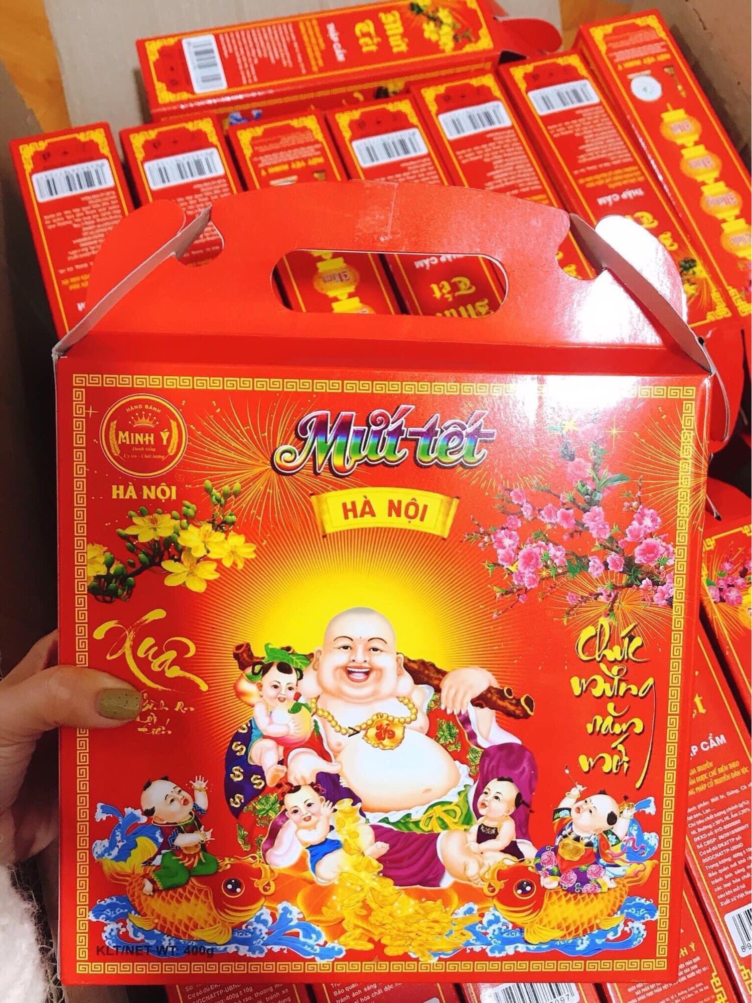 Mứt tết thập cẩm hà nội - hộp túi sách minh ý 400g