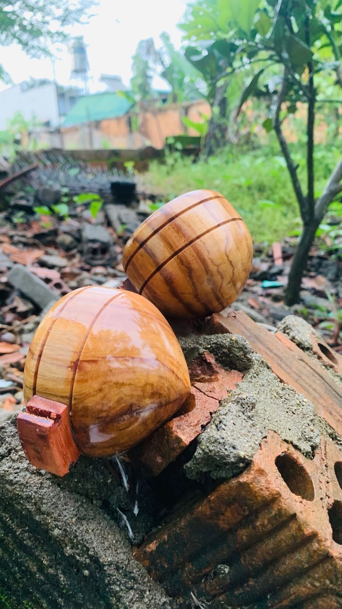 Cóng Đựng Thức Ăn Cho Chim ( gỗ lăng mun, gổ căm xe mở)