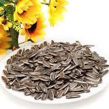 500G Hạt hướng dương